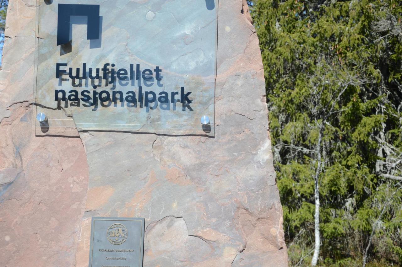14 - Fulufjellets Nasjonalparker - Natur-, Dyre- Og Fugleopplevelser Trysil Esterno foto