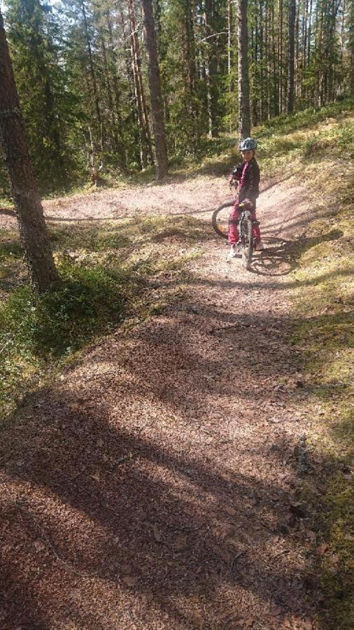 14 - Fulufjellets Nasjonalparker - Natur-, Dyre- Og Fugleopplevelser Trysil Esterno foto