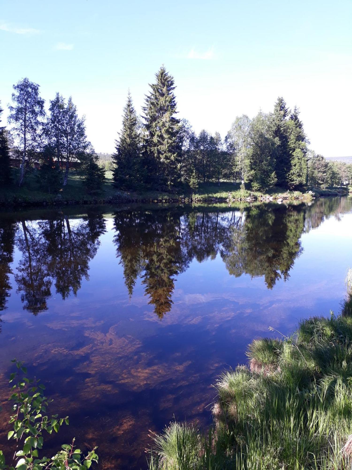 14 - Fulufjellets Nasjonalparker - Natur-, Dyre- Og Fugleopplevelser Trysil Esterno foto
