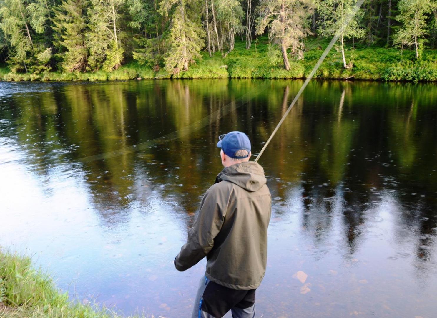 14 - Fulufjellets Nasjonalparker - Natur-, Dyre- Og Fugleopplevelser Trysil Esterno foto