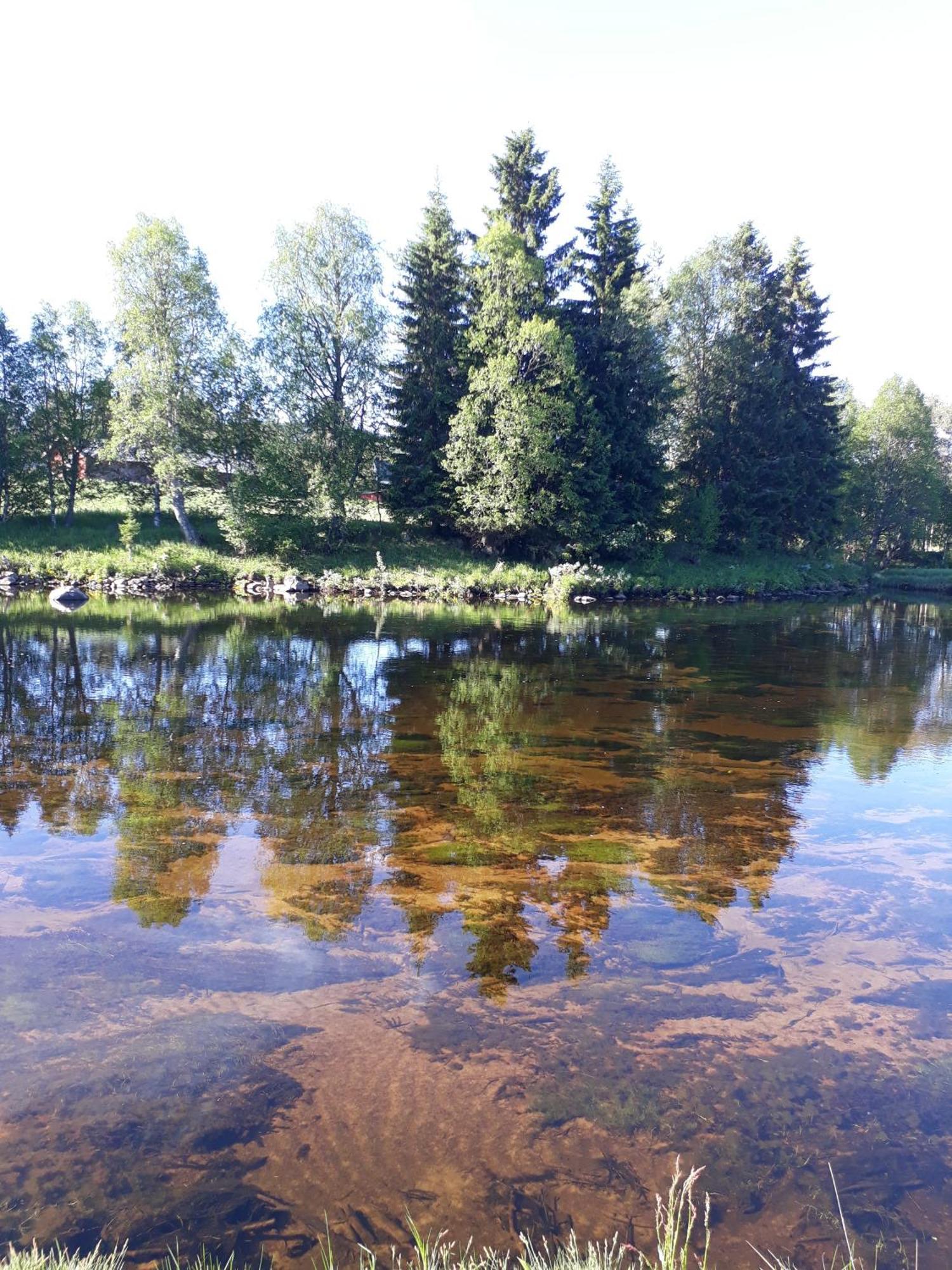 14 - Fulufjellets Nasjonalparker - Natur-, Dyre- Og Fugleopplevelser Trysil Esterno foto
