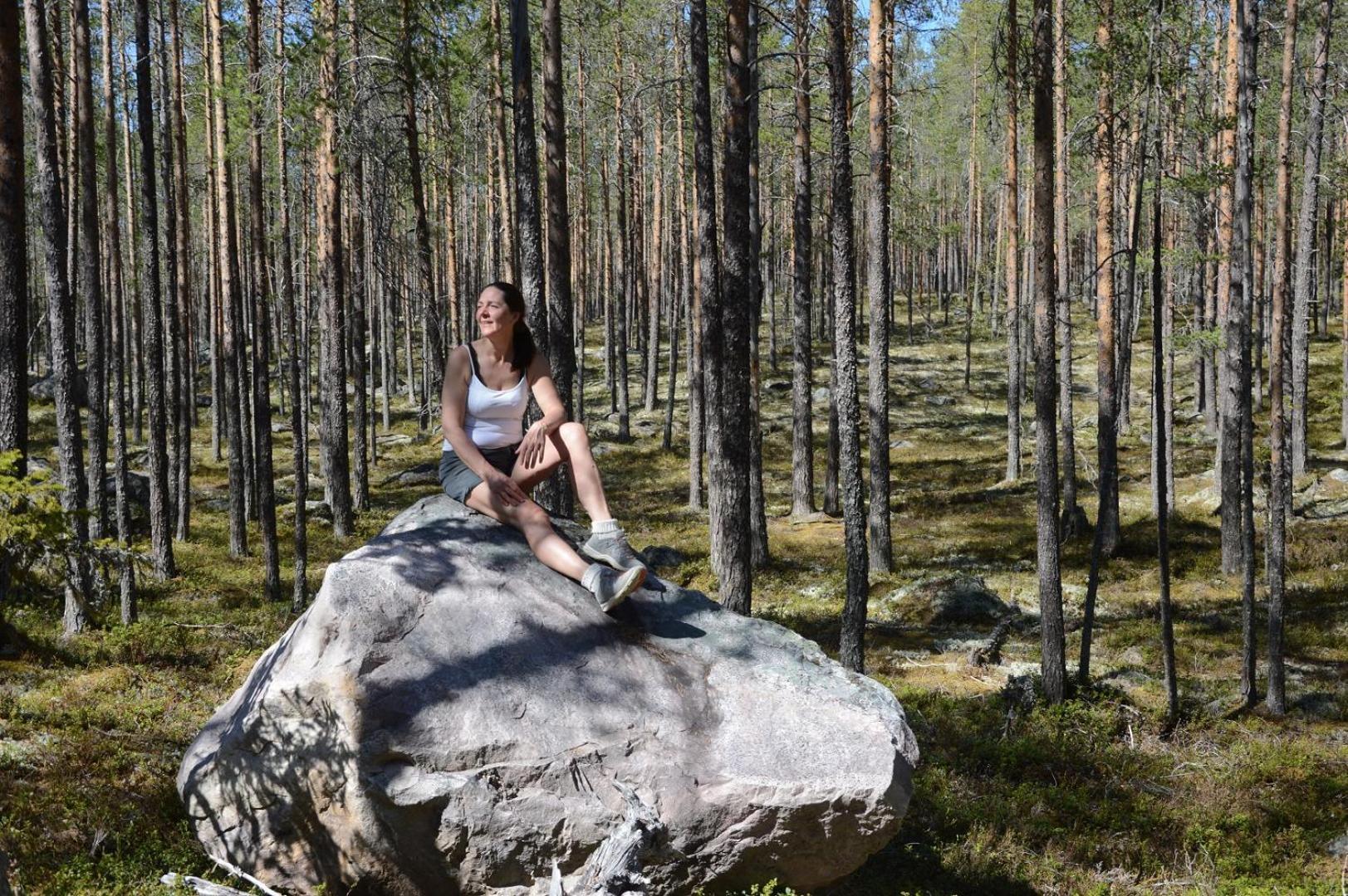 14 - Fulufjellets Nasjonalparker - Natur-, Dyre- Og Fugleopplevelser Trysil Esterno foto
