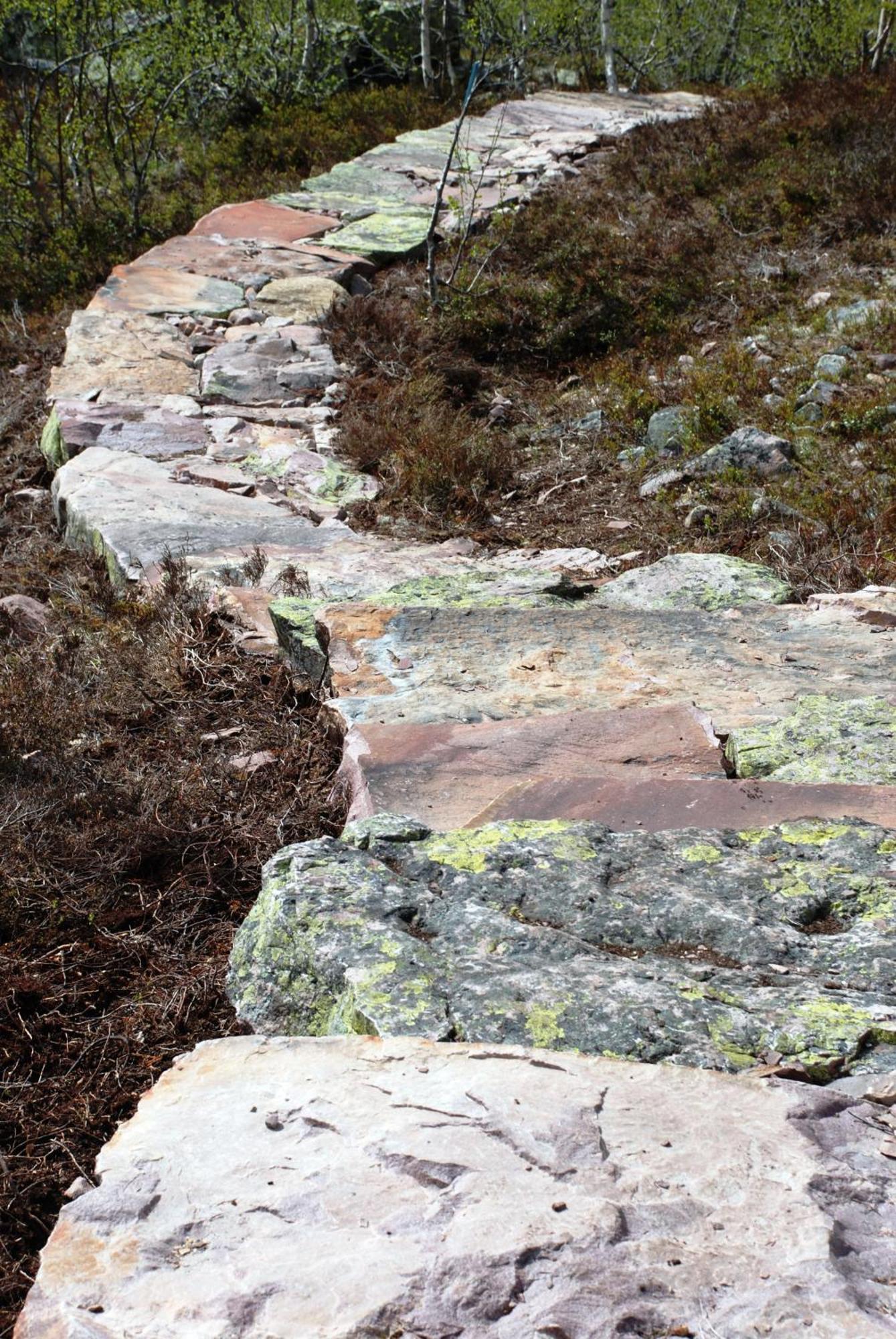 14 - Fulufjellets Nasjonalparker - Natur-, Dyre- Og Fugleopplevelser Trysil Esterno foto